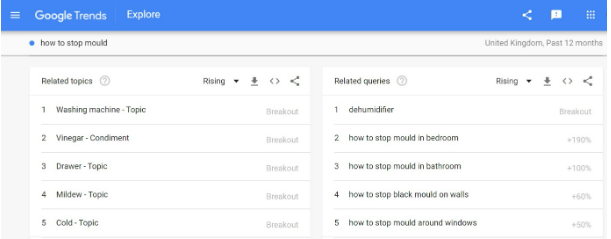 google trends mould